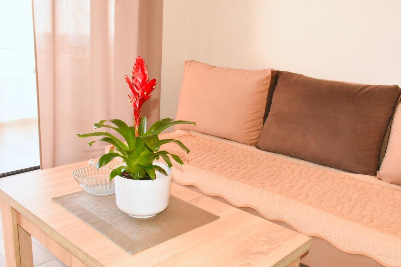 Studio Apartments Jupo أولتْسي المظهر الخارجي الصورة