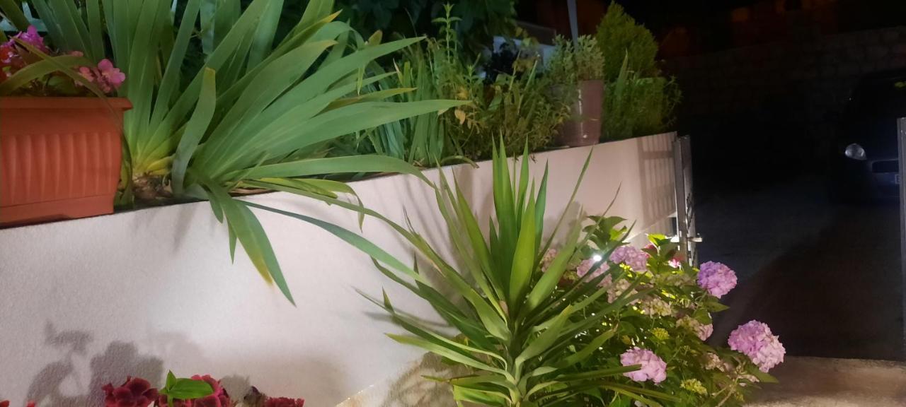 Studio Apartments Jupo أولتْسي المظهر الخارجي الصورة